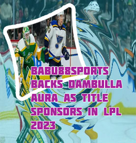 Babu88 minnesota